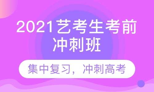 2021艺考生一个月考前冲刺班