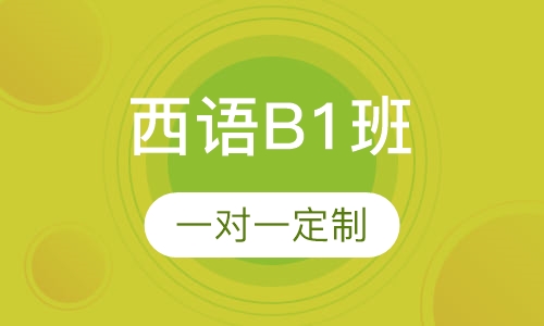 西班牙语B1课程