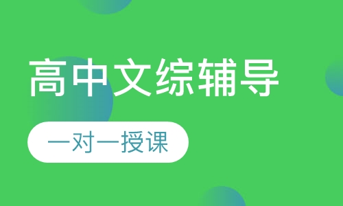 高中一对一文综辅导