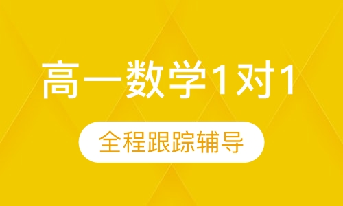 高一数学1对1辅导