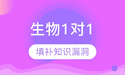 高中生物1对1