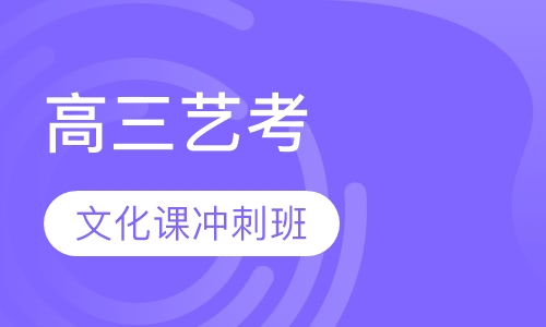高三艺考文化课冲刺班