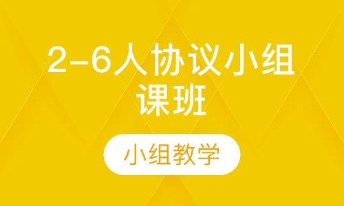 艺考文化课2-6人协议小组课班