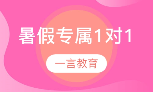 暑假辅导专属1对1