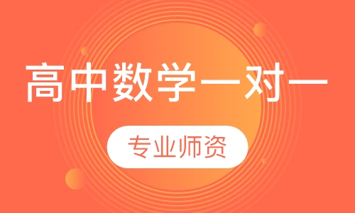 高中数学一对一