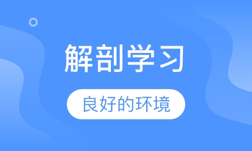 瑜伽解剖学习