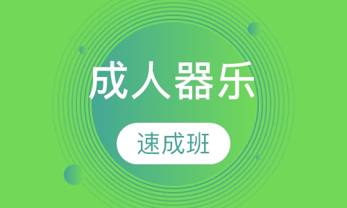 成人器乐速成班