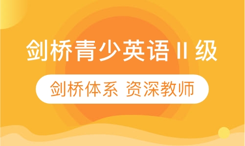 剑桥青少英语EN IN MINDⅡ级