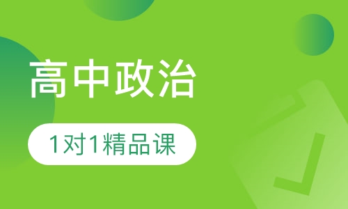 高中政治1对1VIP精品课程