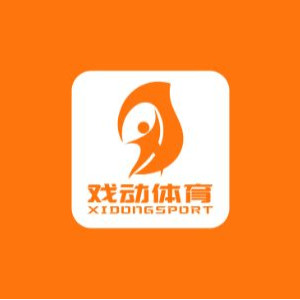 上海戏动体育