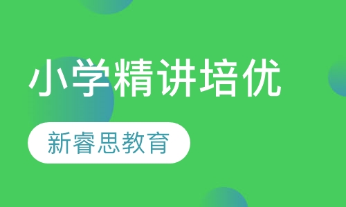 小学精讲培优课程