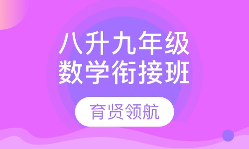 八升九年级数学衔接班