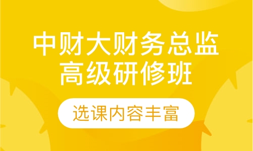 中央财经大学财务总监高级研修班