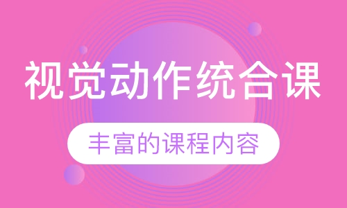 视觉动作统合课