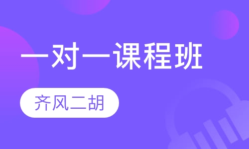 一对一课程班