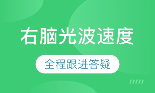 右脑光波速度
