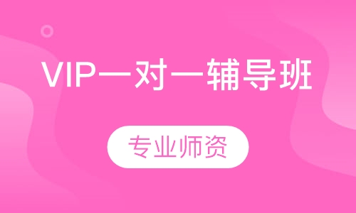 VIP一对一辅导班