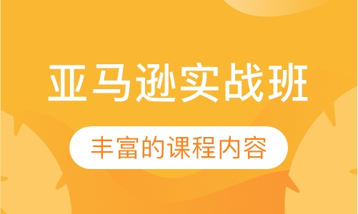 亚马逊实战班