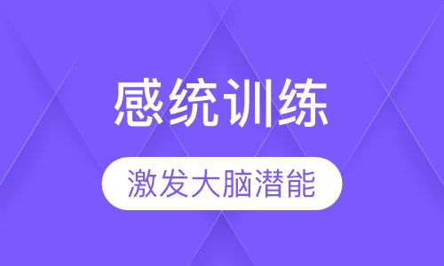 5-8岁儿童感觉统合小班制