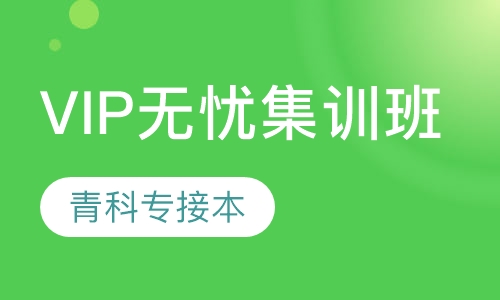 VIP无忧集训班
