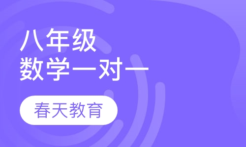 八年级(初二)数学一对一辅导课程