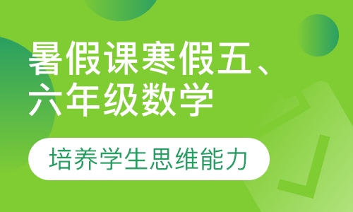 暑假课寒假五、六年级数学