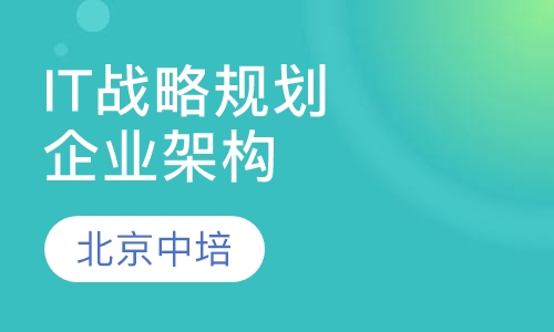 IT战略规划与企业架构