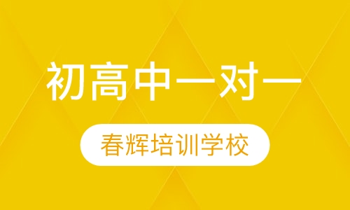 小学初高中一对一vip课程