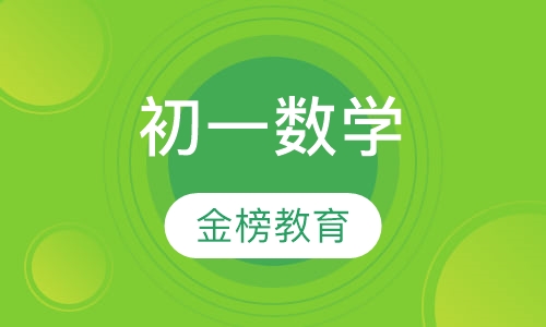 初一数学