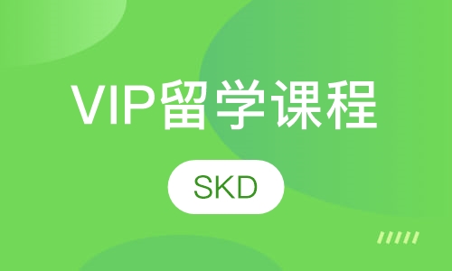 VIP留学艺术作品集课程