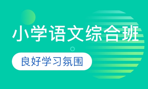 小学语文综合班