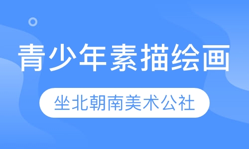 青少年素描绘画