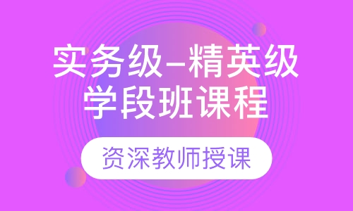 实务级-精英级学段班课程