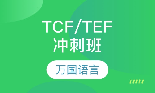 法语TCF/TEF出国班