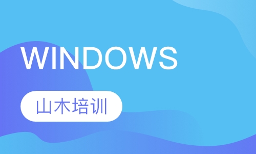 WINDOWS