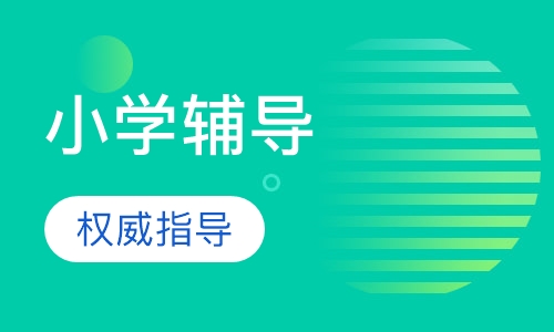 小学辅导