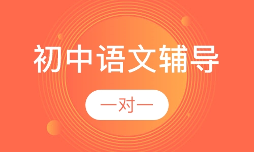 初中一对一语文辅导