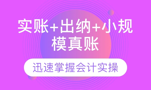 实账+出纳+小规模真账体验课