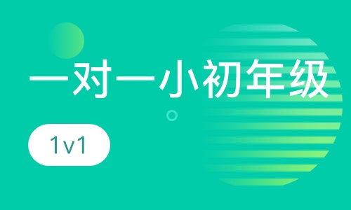 一对一小初年级