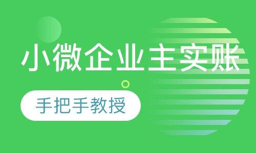 小微企业主实账