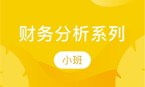 财务分析系列