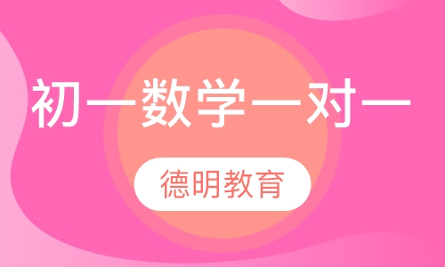 初一数学一对一班