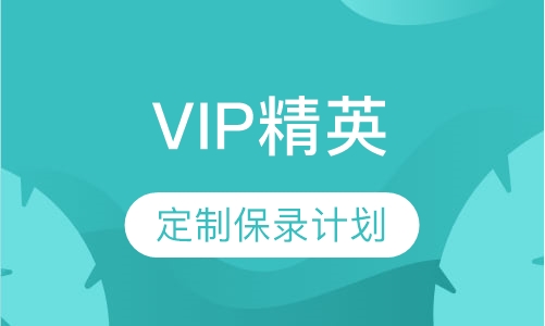 VIP精英保录计划