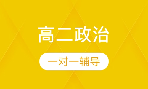 2020年高二政治一对一辅导课程