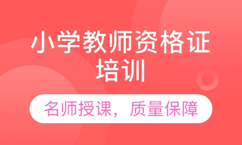 录播课+直播课小学教师资格证培训