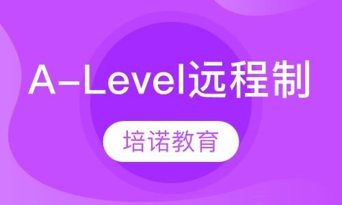 A-Level远程制