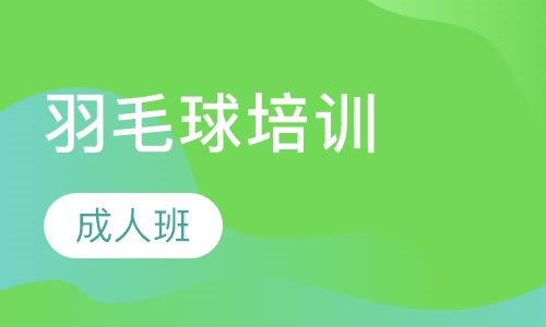 成年羽毛球培训班