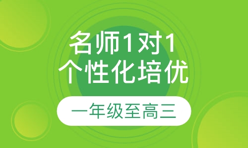 名师1对1个性化培优