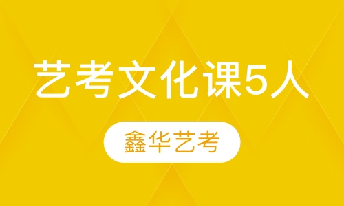 艺术生文化课5人班