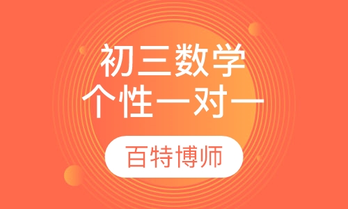 初三数学一对一个性化辅导